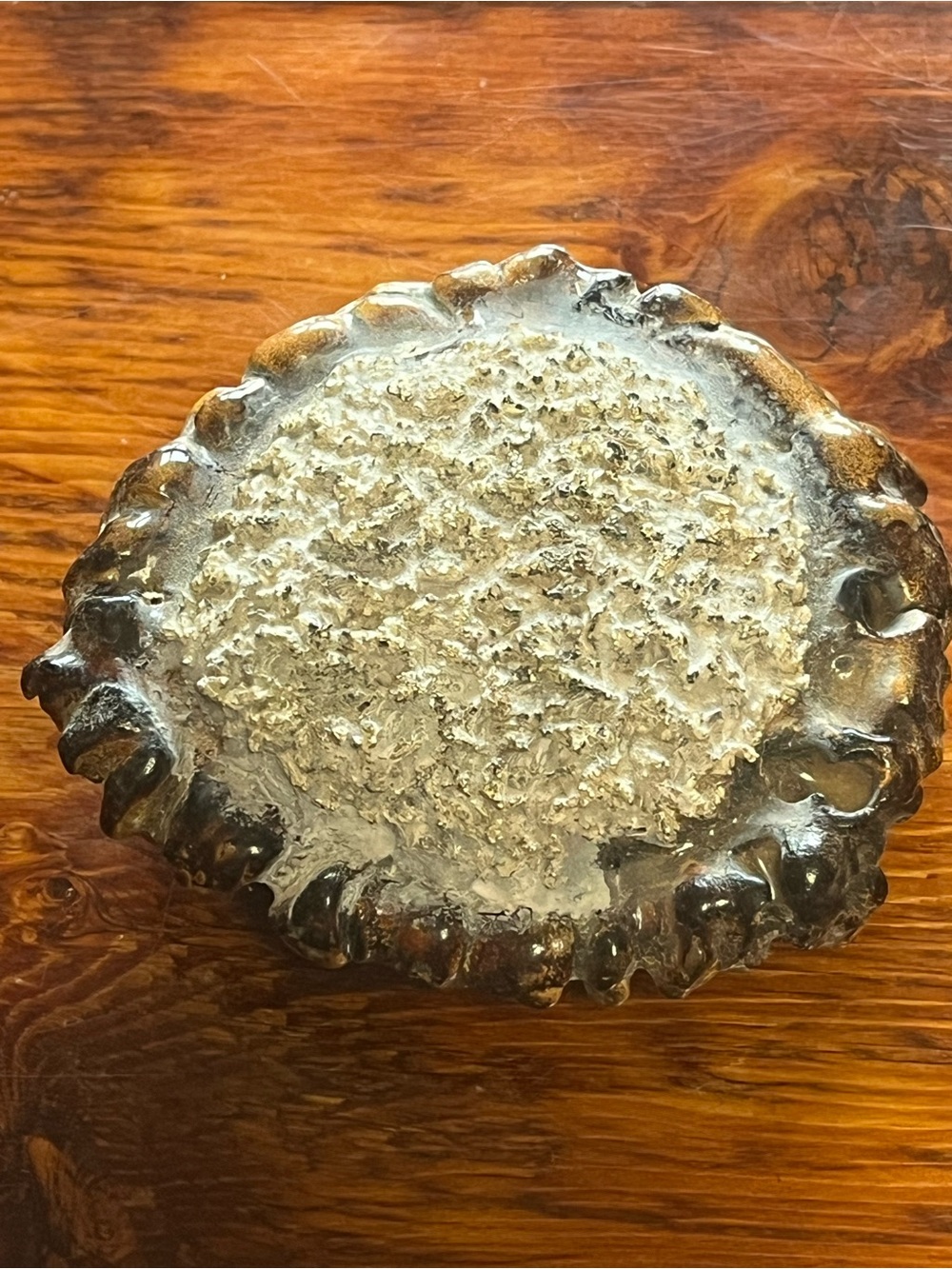 Deer antler belt buckle